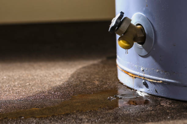 Best Flood damage cleanup  in Summerde, AL