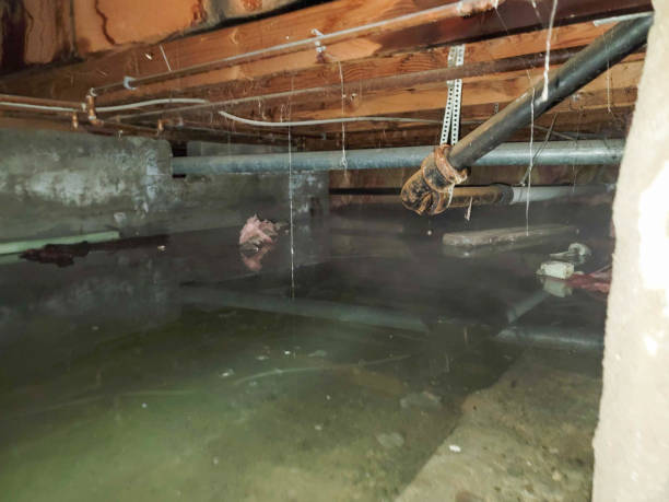 Reliable AL Water damage restoration Solutions