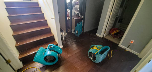 Best Ceiling water damage repair  in Summerde, AL