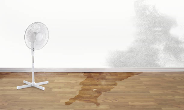 Best Professional water damage repair  in Summerde, AL