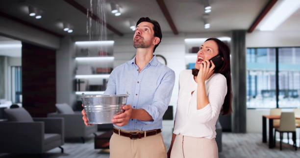 Best Water damage restoration company  in Summerde, AL