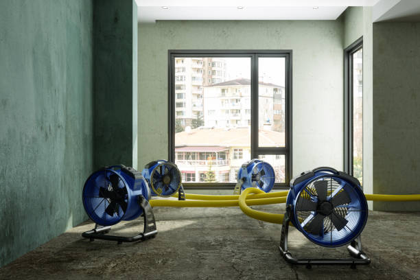 Best Flood restoration services  in Summerde, AL